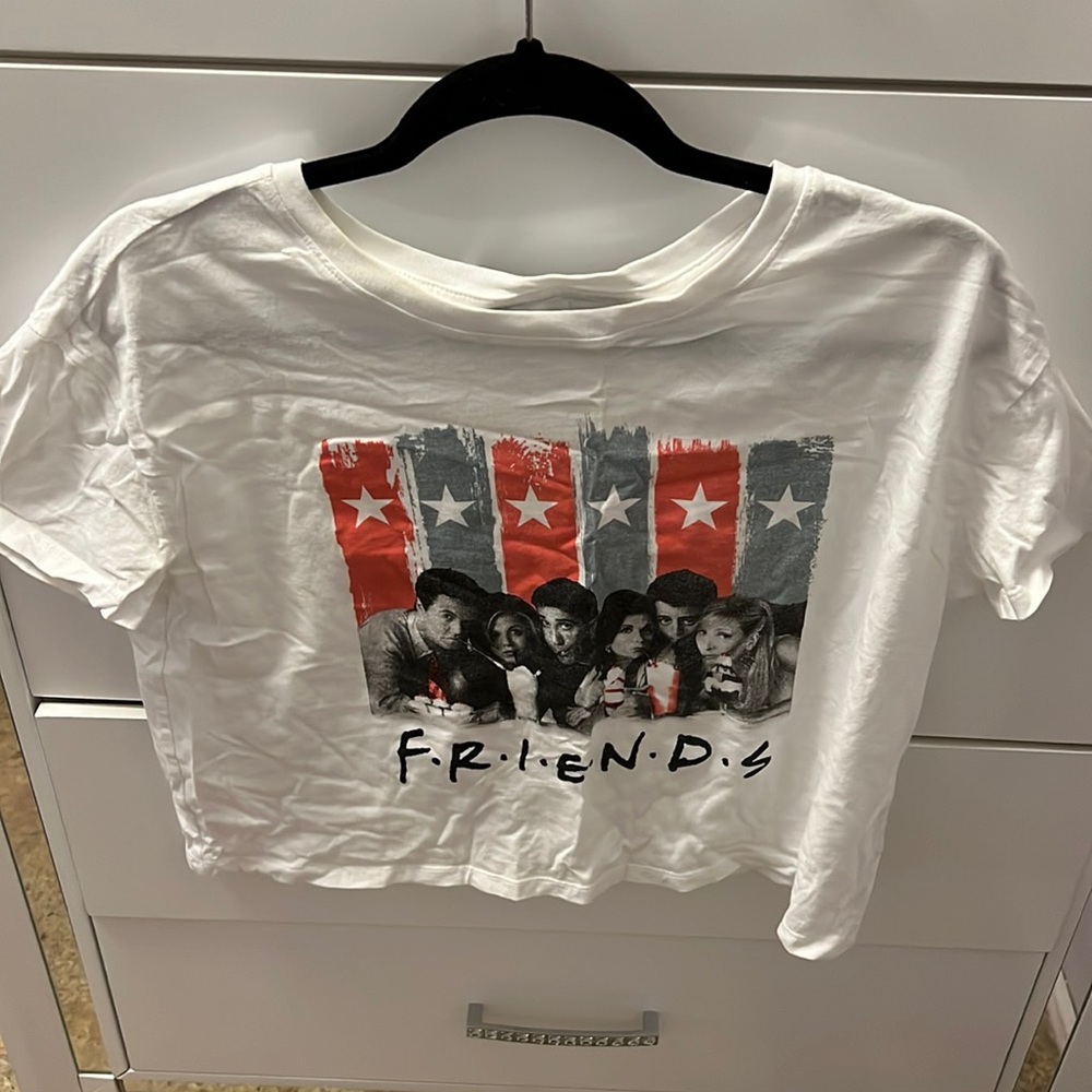 Friends crop top